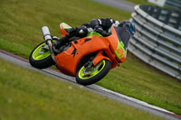 Lower Group Orange Bikes